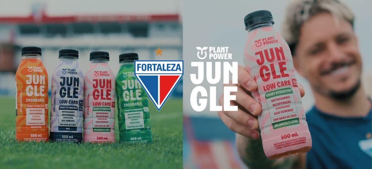 image para ilustrar o artigo