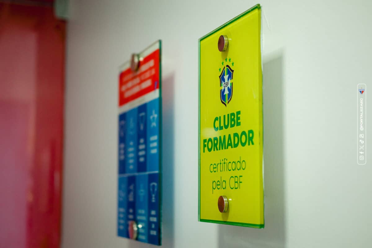 image para ilustrar o artigo