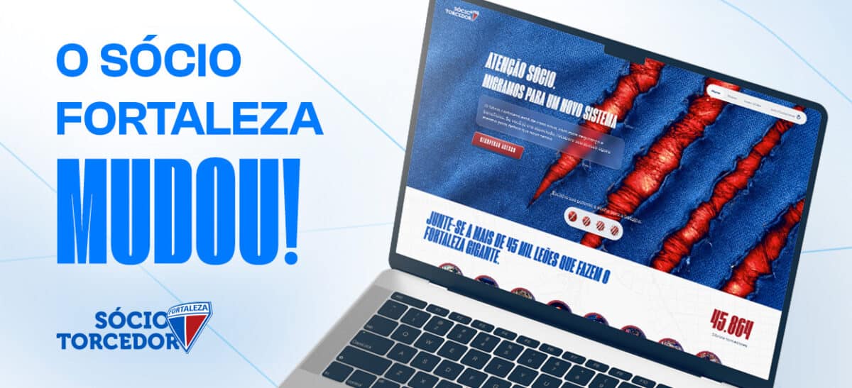 image para ilustrar o artigo